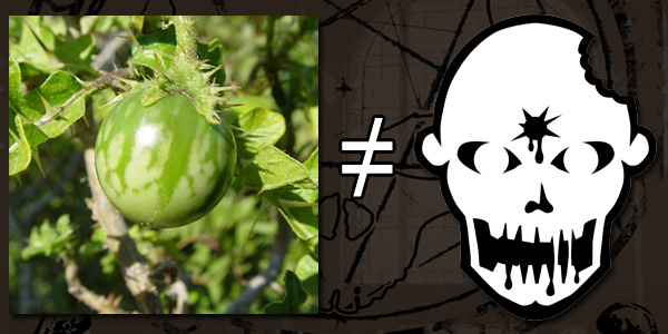 Solanum =/= Zombies