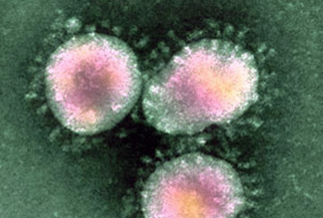 AJC1-coronavirus-650x439