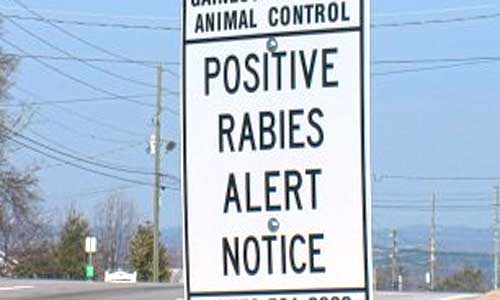 rabies-alert-sign